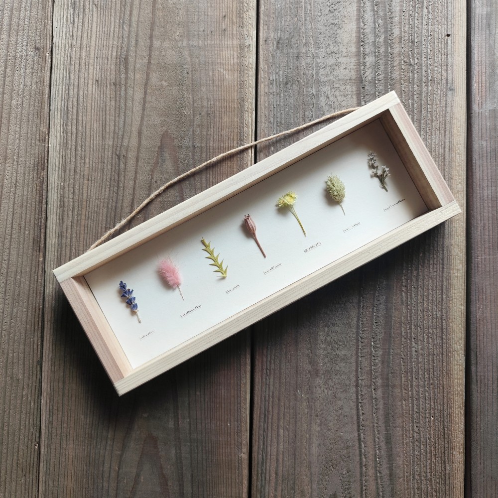 植物標本風パネル